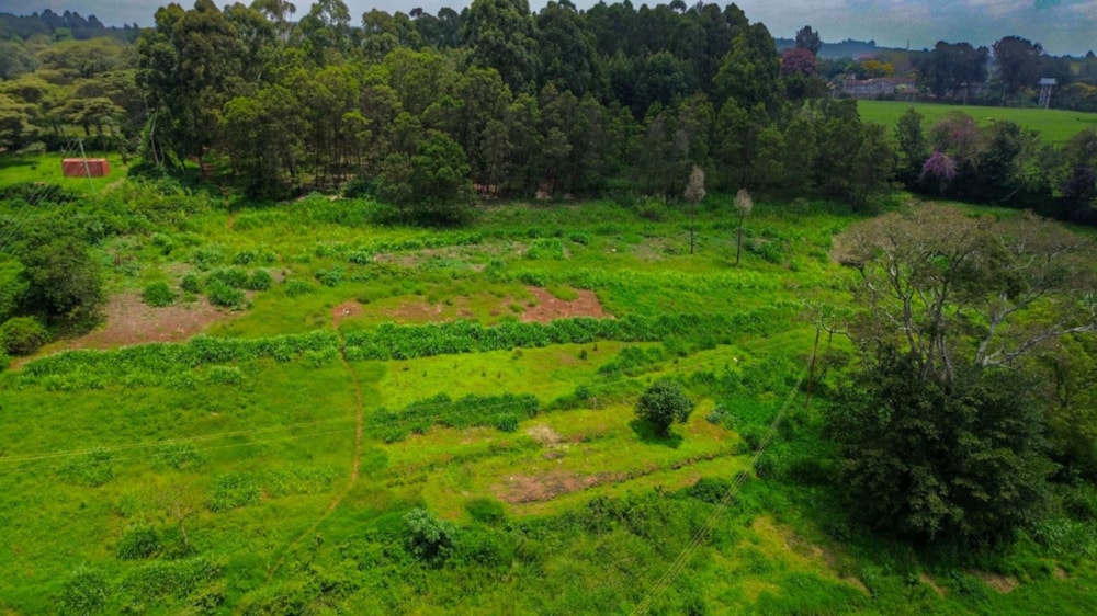 Prime 1/4 Acre Plot in Karen